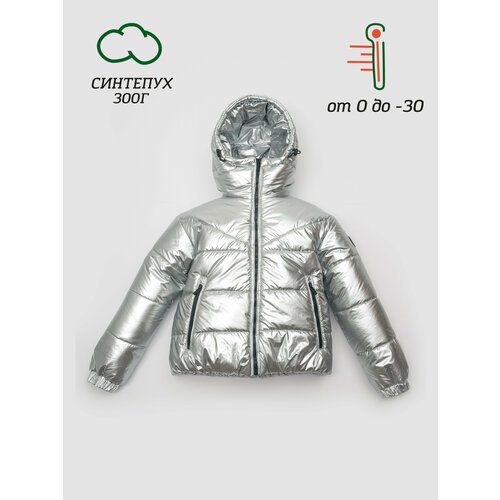 Купить Куртка Orso Bianco, размер 164, серебряный
Детская зимняя укороченная куртка для...