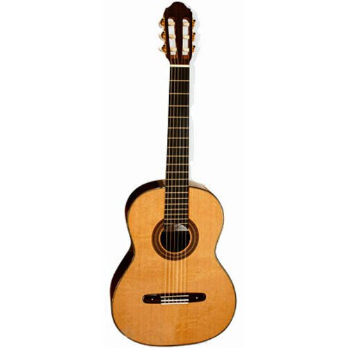 Купить Акустическая гитара Amalio Burguet Studio Cedar
<ul><li>Классическая испанская г...