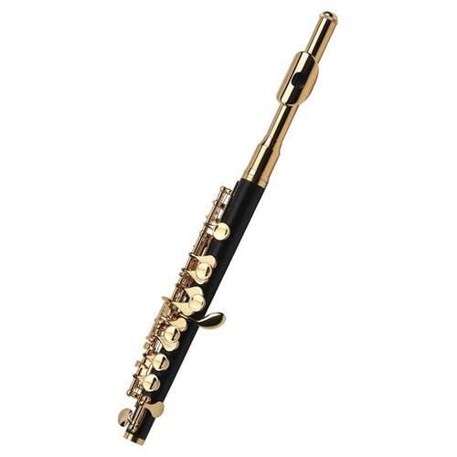 Купить Piccolo Artemis RPL-101G - Флейта-пикколо с корпусом из плаcтика ABS, позолоченн...