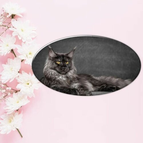 Купить Брошь, серый
Эксклюзивная брошь с рисунком кота мейн-кун от бренда фартоvый 7 см...