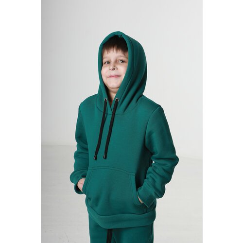 Купить Костюм DaEl kids, размер 104, зеленый
Спортивный костюм из натурального трикотаж...