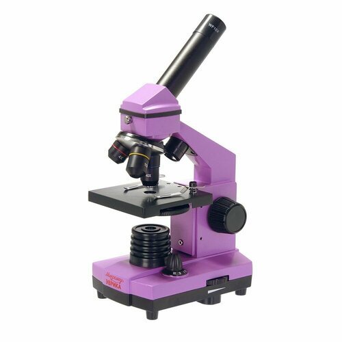 Купить Микроскоп школьный Эврика 40х-400х в кейсе (аметист)
Микроскоп комплектуется ахр...