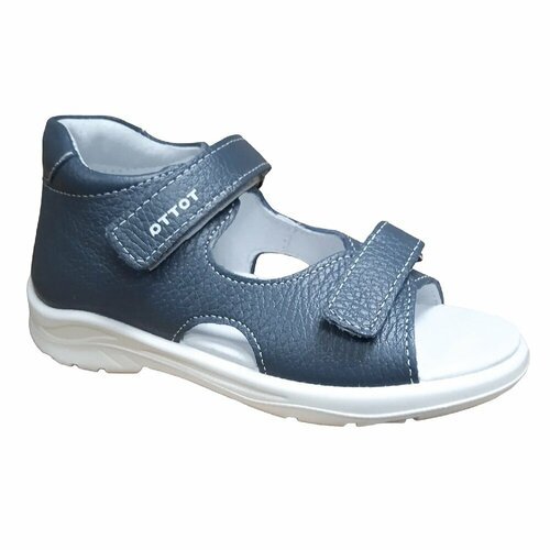 Купить Пинетки Тотто, размер 23, синий
Вид обуви: Туфли летние<br><br>Материал верха: Н...