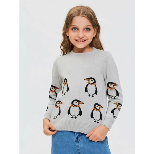 Купить Пуловер , размер 122, серый
Базовый демисезонный джемпер (свитшот) для девочек и...