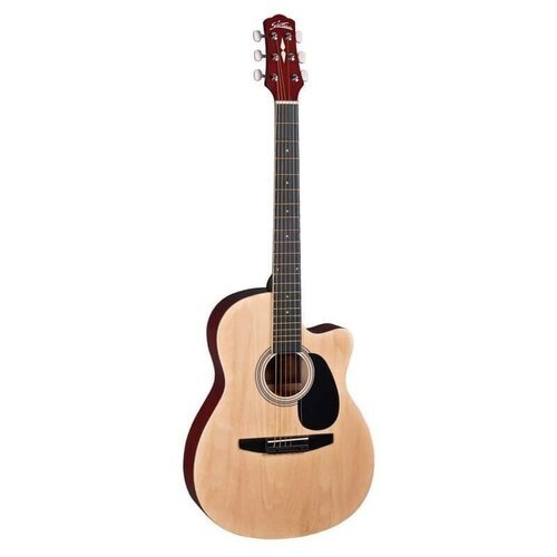 Купить Naranda CAG110CNA акустическая гитара
CAG110CNA Акустическая гитара, с вырезом,...