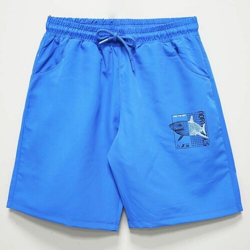 Купить Бордшорты Cegisa, размер 134-140, синий
Плавательные шорты с сеткой в виде плаво...