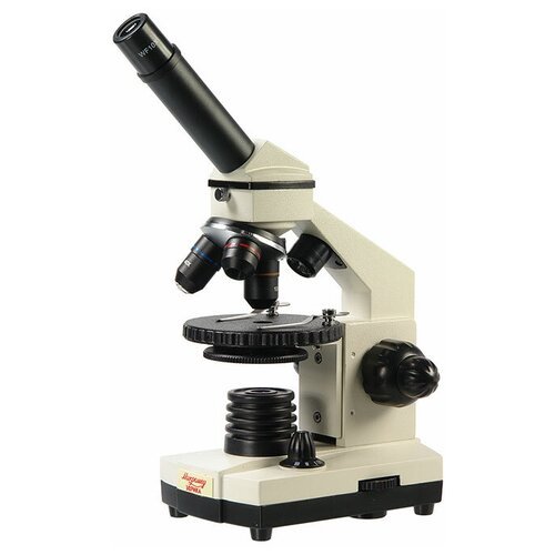 Купить Микроскоп Veber школьный Эврика 40х-1280х в текстильном кейсе
Микроскоп Veber шк...