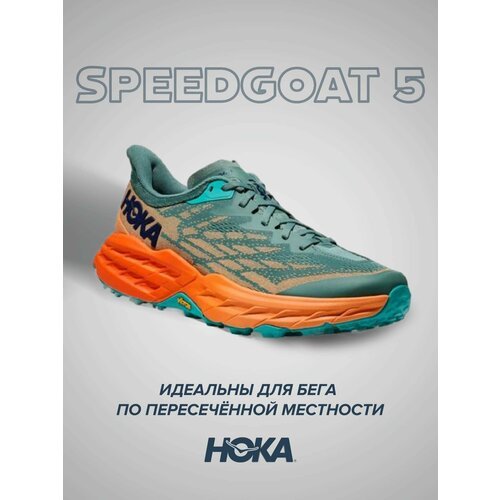 Купить Кроссовки HOKA Speedgoat 5, полнота D, размер US9D/UK8.5/EU42 2/3/JPN27, зеленый...