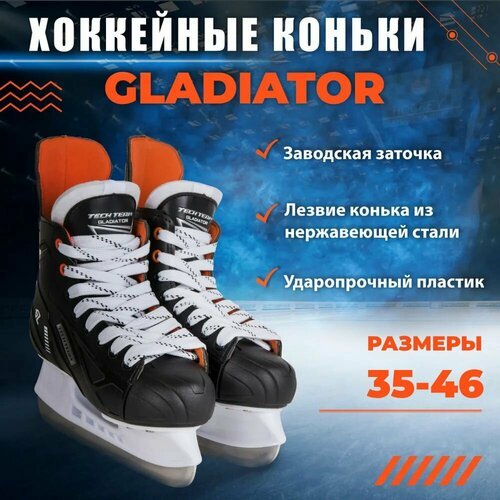 Купить Коньки хоккейные TECH TEAM GLADIATOR (45)
<ul><li>Проведите активно зиму на катк...