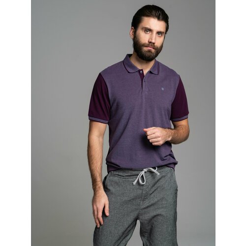 Купить Поло WEBERMANN WT201-2-01-2/M, размер 3XL, фиолетовый
Трикотажная футболка поло...