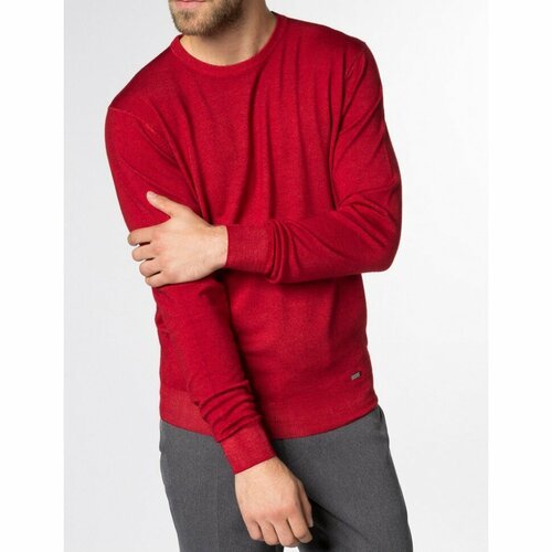 Купить Пуловер Eterna, размер S, красный
Красный мужской джемпер ETERNA с круглым ворот...