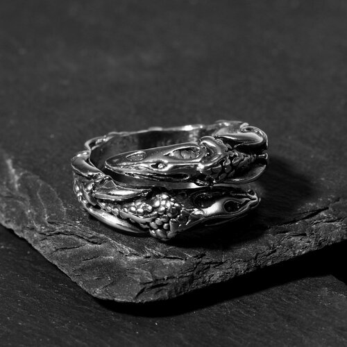 Купить Кольцо Queen Fair, серебряный
<p>Кольцо "Перстень" дракон в спячке, цвет чернёно...