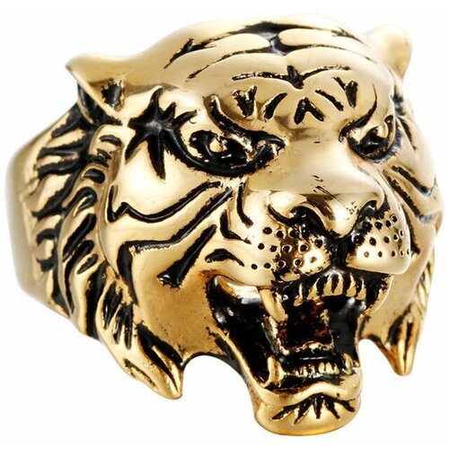 Купить Кольцо DG Jewelry, серебряный
Великолепный мужской стальной перстень 'Тигр', пок...