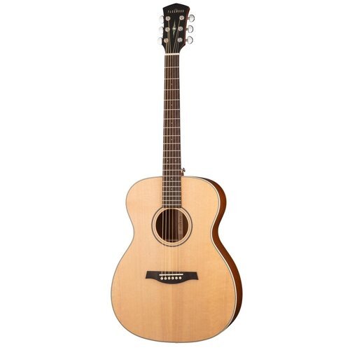 Купить Акустическая гитара, с чехлом, глянец, Parkwood S22-GT
S22-GT Акустическая гитар...