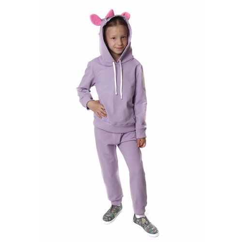 Купить Худи DaEl kids, размер 122, фиолетовый
Детский джемпер-худи капюшон с ушками и в...