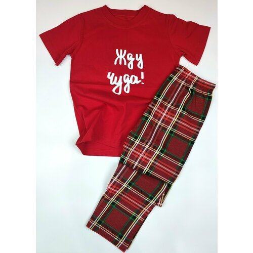 Купить Пижама, размер 152, красный
Новогодняя пижама – это идеальный выбор для комфортн...