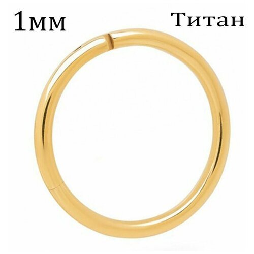 Купить Серьги одиночные , размер/диаметр 8 мм., золотой
Украшение кольцо кликер из тита...
