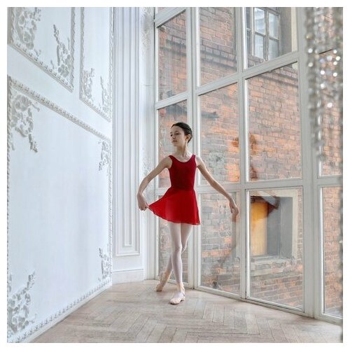 Купить Юбка Baletmarket, размер 123-134, бордовый
<p>Хореографическая юбка детская - ид...