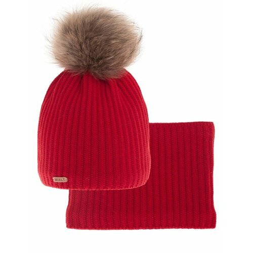 Купить Шапка mialt, размер 54-56, красный
Комплект шапка и шарф для мальчика Харлей Ком...
