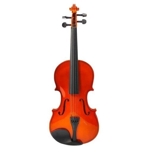 Купить Скрипка Fabio, 4/4, цвет: натуральный, арт. SF-3900 N
Скрипка изготовлена из лип...