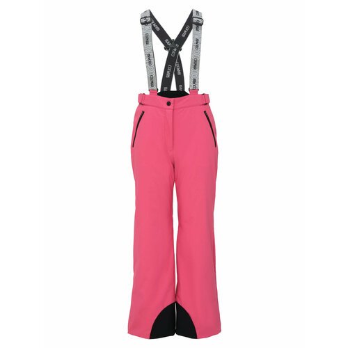 Купить Брюки Colmar 3219 1VC, размер 10, розовый
Горнолыжные детские брюки COLMAR 3219...