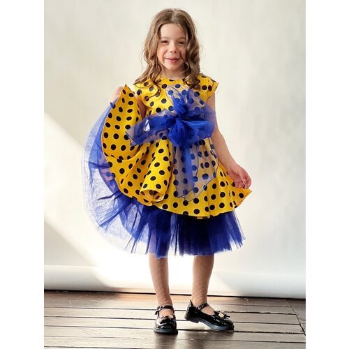 Купить Платье Бушон, размер 134-140, синий, желтый
Платье для девочки праздничное бушон...