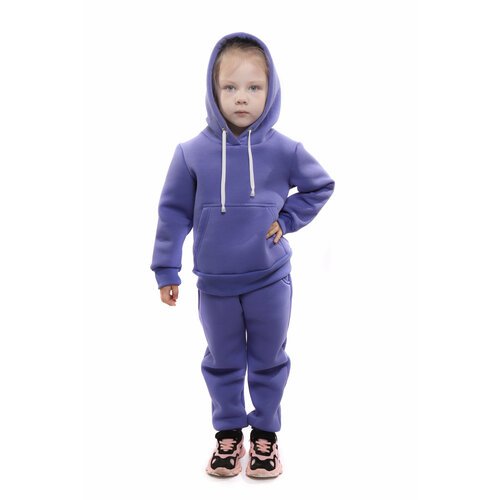 Купить Костюм DaEl kids, размер 122, фиолетовый
Спортивный костюм из натурального трико...