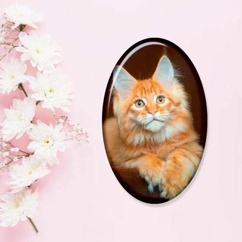 Купить Брошь, оранжевый
Эксклюзивная брошь с рисунком кота мейн-кун от бренда фартоvый...