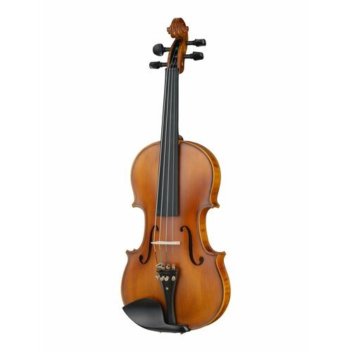 Купить FVP-04B-4/4 Скрипка студенческая 4/4, с футляром и смычком, Foix
Верхняя дека: е...