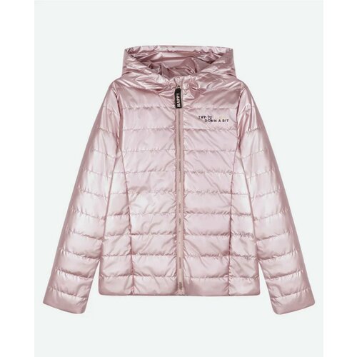 Купить Ветровка COCCODRILLO, размер 104, розовый
Модная демисезонная куртка Coccodrillo...