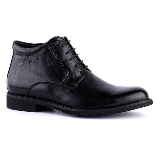 Купить Ботинки PM Shoes, размер 42, черный
Мужские Ботинки демисезонные 

Скидка 40%