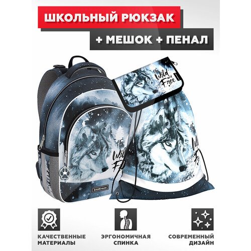 Купить Школьный рюкзак с грудной перемычкой ErichKrause - ErgoLine 15L - Timber Wolf -...