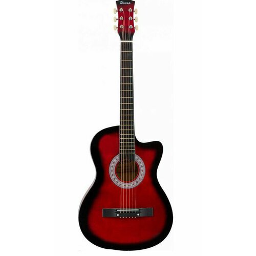 Купить Акустическая гитара Terris TF-3802С RD
Описание появится позже. Ожидайте, пожалу...