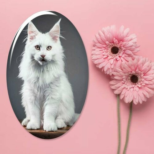 Купить Брошь, белый
Эксклюзивная брошь с рисунком кота мейн-кун от бренда фартоvый 7 см...
