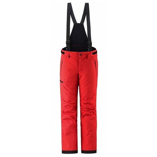 Купить Брюки Reima Terrie 532186, размер 110, красный
Горнолыжные брюки Reima Terrie дл...