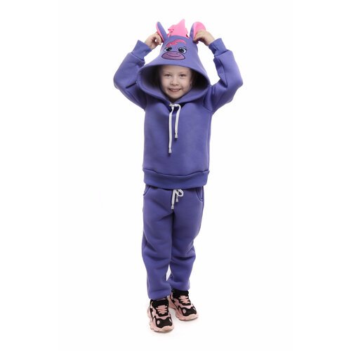 Купить Худи DaEl kids, размер 122, фиолетовый
Детский джемпер-худи капюшон с ушками и в...