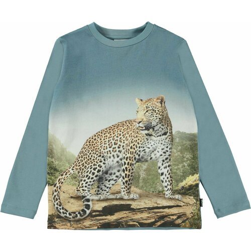 Купить Лонгслив Molo, размер 116, синий
Mountain Leopard - лонгслив с длинными рукавами...