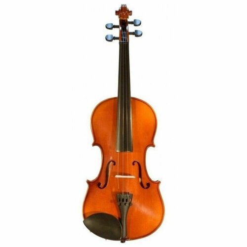 Купить Электроакустическая скрипка KARL HEINLICH THN-12E 4/4
Скрипка 4/4 электроакустич...