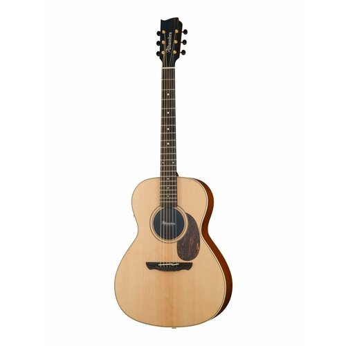Купить Электроакустическая гитара Alhambra A00-SkSp E9 с ремнем и чехлом (Электроакусти...
