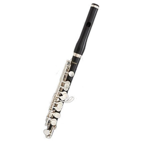 Купить Флейта-пикколо Bulgheroni PB-401
<ul><li>Профессиональная модель, изготовленная...
