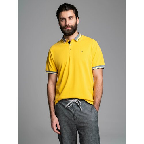 Купить Поло WEBERMANN WT201-2-01-2/M, размер 3XL, желтый
Трикотажная футболка поло с ко...