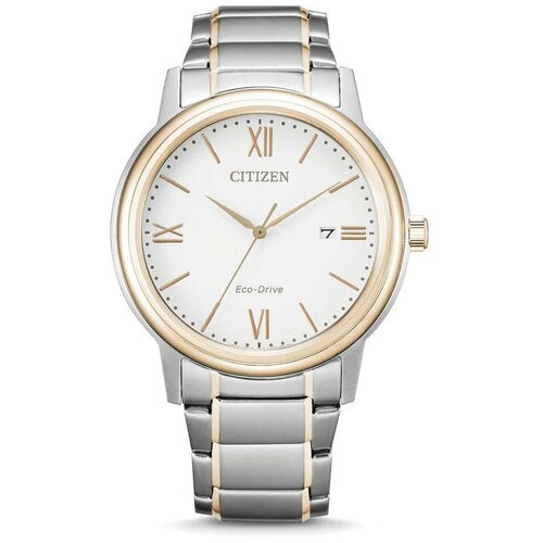 Купить Наручные часы CITIZEN Eco-Drive AW1676-86A, золотой, серебряный
Классический акс...