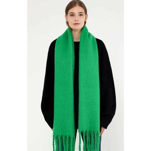 Купить Шарф , one size, зеленый
Этот объемный зеленый шарф - стильный и функциональный...
