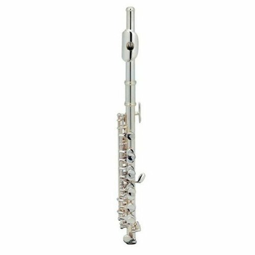 Купить Флейта пикколо Pierre Cesar JBPC-770S
Pierre Cesar JBPC-770S флейта пикколо, сер...