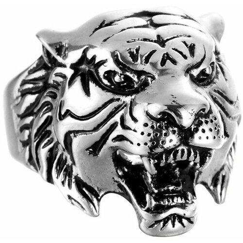 Купить Кольцо DG Jewelry, серебряный
Мужской стальной перстень 'Тигр', дополненный эмал...