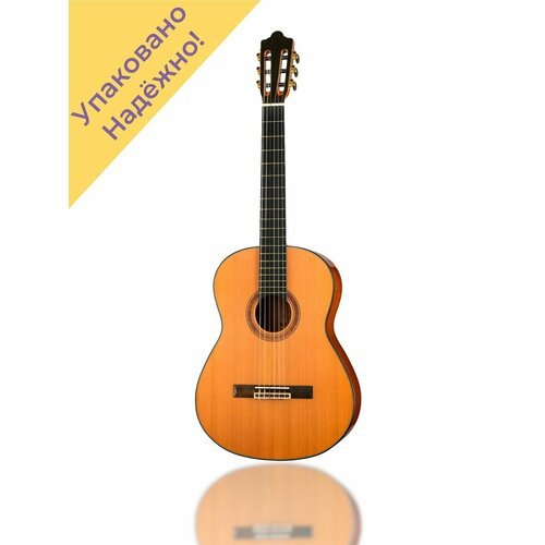 Купить CG-500S-39-СR Классическая гитара 4/4
CG-500S-39-СR Классическая гитара 4/4, цве...