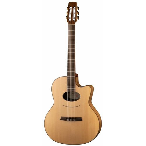 Купить Performer Series Классическая гитара со звукоснимателем, с вырезом, размер 4/4,...