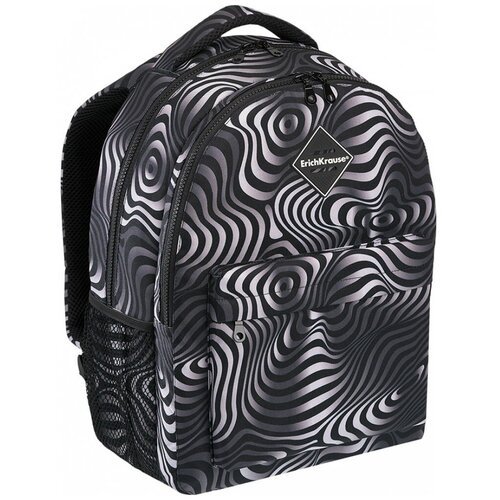 Купить Ученический рюкзак ErichKrause® EasyLine® с двумя отделениями 20L Illusion 51642...