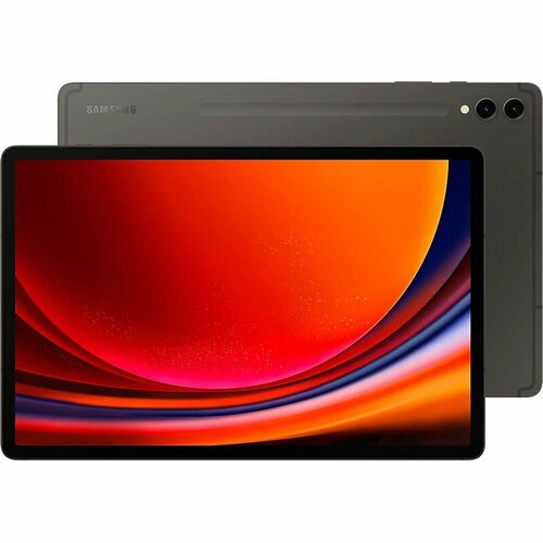 Купить Планшет Samsung Galaxy Tab S9+ SM-X810 - 256Gb Graphite SM-X810NZAACAU (Snapdrag...