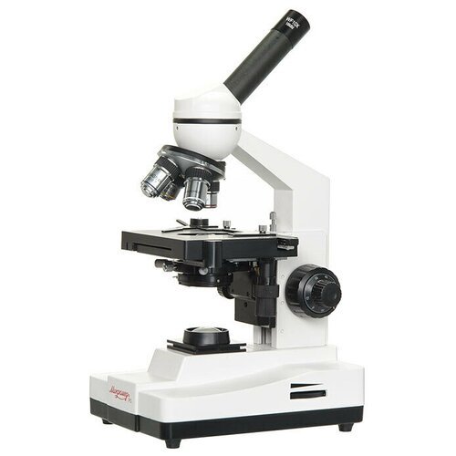 Купить Микроскоп Микромед Р-1
Учебный микроскоп Микромед Р-1 станет хорошим помощником...